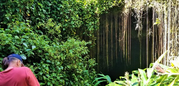 Croisière arctique antarctique : aventurez-vous vers l'inconnu